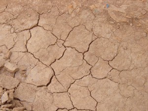cracked ground during drought