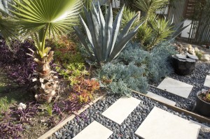 xeriscape - limits water useage