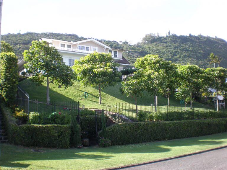 What is Hydroseed? How does it work? Bell Sod & Hydroseed