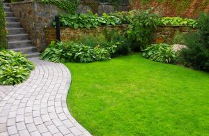 Lush green lawn with path of stone pavers